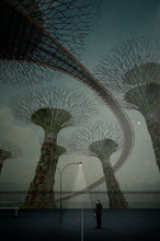 Load image into Gallery viewer, The Anonymous Man #20